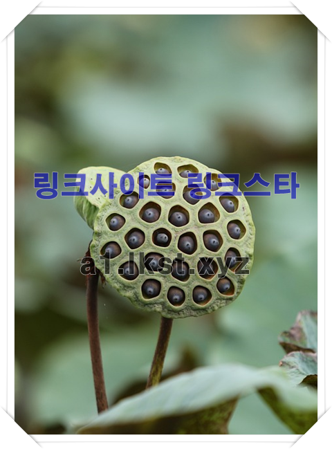 e58675e77ce5226d0fbfe472e6656c74_1676206160_962.png