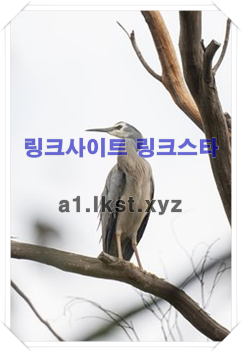 5762346db9d45315878c4c9cdee4a02f_1678160352_9767.png