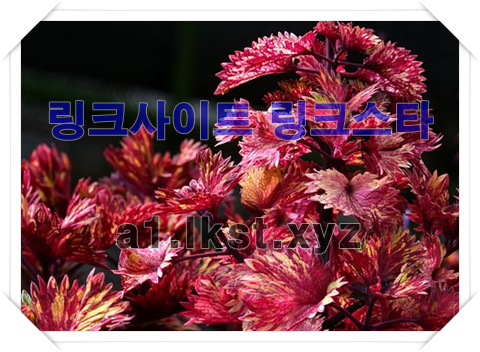 cc7ebec8756109f57254666fea95be2b_1679915681_505.png