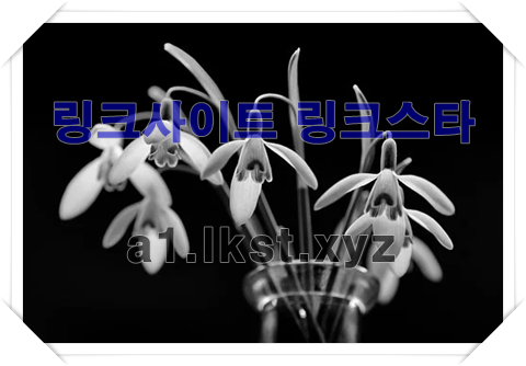5c98fa20833f4011bae5e9b9bd862b01_1681995960_5607.png